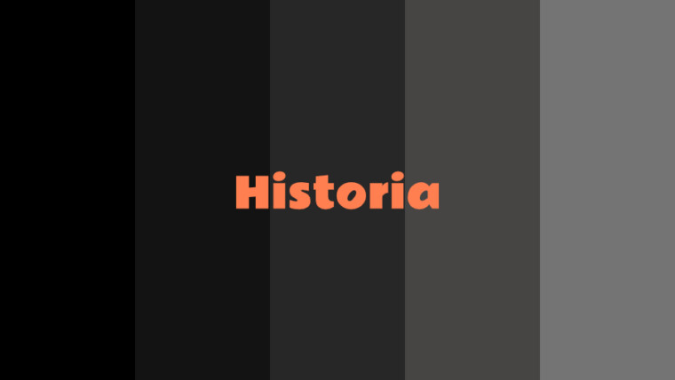 Historia del Color Negro